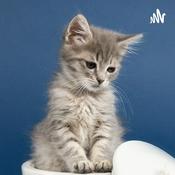 ASMR PARA RELAXAR 💆🏻‍♂️