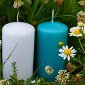 Au ras des pâquerettes