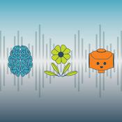 Auf den Grund gegangen