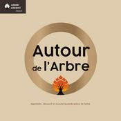 Autour de l'arbre
