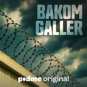Bakom Galler