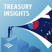 Bank of America Treasury Insights