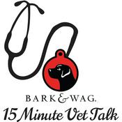 Bark n Wag 15 Minute Vet Talk