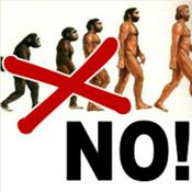 Evoluzionismo - BastaBugie.it