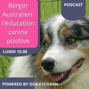 Berger Australien l'éducation canine positive