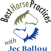 Best Horse Practices Podcast
