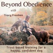 Beyond Obedience | Dog Training, Dog Behaviour Training, Scared Dogs, Reactive Dogs