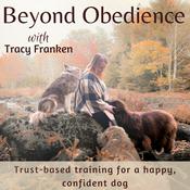 Beyond Obedience | Dog Training, Dog Behaviour Training, Scared Dogs, Reactive Dogs