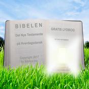 Bibelen som lydbog (Regulær oplæsning) - Det Nye Testamente på Hverdagsdansk