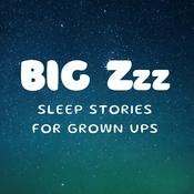 Big Zzz: Sleep Stories for Grown Ups