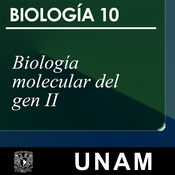 Biología molecular del gen II