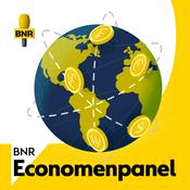 BNR Economenpanel | BNR
