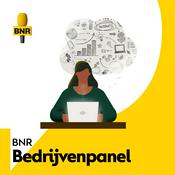 BNR Bedrijvenpanel | BNR