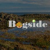 Bogside Chats