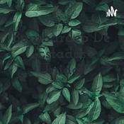 Bombardeo De Estados Unidos