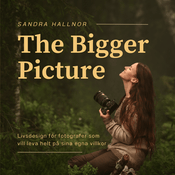 The Bigger Picture: För Fotografer