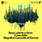 Bosco, piante e clima: il caso della Magnifica Comunità di Fiemme