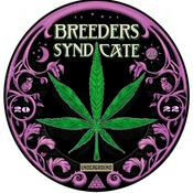 Breeders Syndicate 3.0