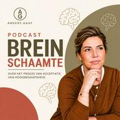 Breinschaamte