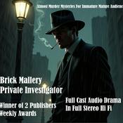 Brick Mallery Private Investigator