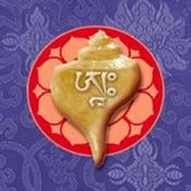 Buddhism for Beginners