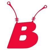 Budines