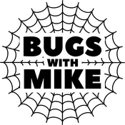 Bugs With Mike