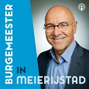 Burgemeester in Meierijstad