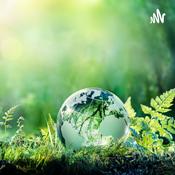 CALENTAMIENTO GLOBAL