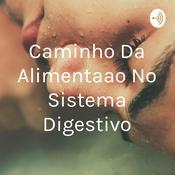 Caminho Da Alimentaçao No Sistema Digestivo