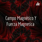 Campo Magnético Y Fuerza Magnetica