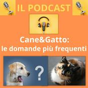Cane&gatto: le domande più frequenti