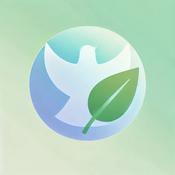 Cápsulas Divinas: Reflexiones diarias