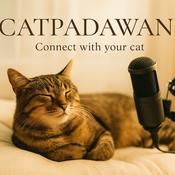 CatPadawan, donde conectamos con los gatos