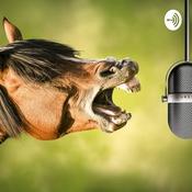 Cavalo Mangalarga Marchador