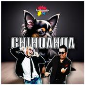 Chihuahua Comico