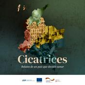 Cicatrices