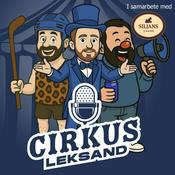 Cirkus Leksand