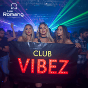 Club Vibez - Mixed by Lee Romang