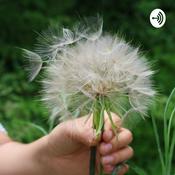 Comandos para Corpo & Expansão de Consciência