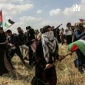 Conflicto Israel Y Palestina