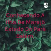 Conhecendo A Ilha De Marajó Estado Do Pará Belém