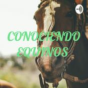 CONOCIENDO EQUINOS