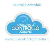Controllo Aziendale - Simone Brancozzi