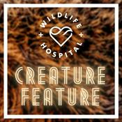 Creature Feature