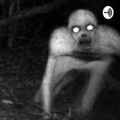 Creepypasta Stories