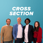 Cross Section