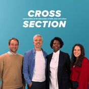 Cross Section