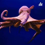 Curiosidades de los animales marinos