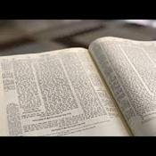 Daf Hayomi Shiurim in English & Yiddish         R' Ami Maierovits